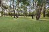 20 Wellers Road, Bargo, NSW 2574-Image