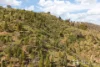 2000 Yarrabin Road, Mudgee, NSW 2850-Image