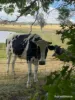 2002 Lagoon Road, The Lagoon, NSW 2795-Image