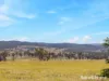 2002 Lagoon Road, The Lagoon, NSW 2795-Image