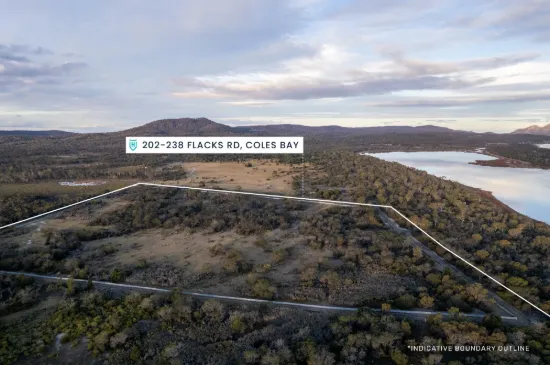 202-238 Flacks Road, Coles Bay, Tas 7215