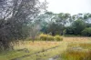 202-238 Flacks Road, Coles Bay, Tas 7215-Image