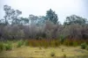 202-238 Flacks Road, Coles Bay, Tas 7215-Image