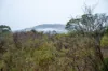 202-238 Flacks Road, Coles Bay, Tas 7215-Image