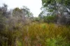 202-238 Flacks Road, Coles Bay, Tas 7215-Image