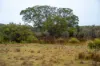 202-238 Flacks Road, Coles Bay, Tas 7215-Image