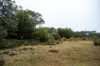 202-238 Flacks Road, Coles Bay, Tas 7215-Image
