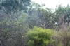 202-238 Flacks Road, Coles Bay, Tas 7215-Image