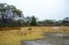 202-238 Flacks Road, Coles Bay, Tas 7215-Image