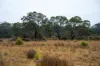 202-238 Flacks Road, Coles Bay, Tas 7215-Image