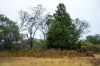 202-238 Flacks Road, Coles Bay, Tas 7215-Image