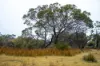 202-238 Flacks Road, Coles Bay, Tas 7215-Image