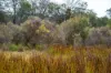 202-238 Flacks Road, Coles Bay, Tas 7215-Image