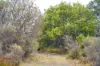 202-238 Flacks Road, Coles Bay, Tas 7215-Image