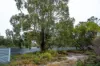 202-238 Flacks Road, Coles Bay, Tas 7215-Image