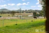 202 Black Lead Lane, Gulgong, NSW 2852-Image