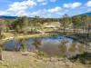 202 Summer Hill Road, Vacy, NSW 2421-Image