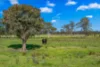 204 Horns Crossing Road, Vacy, NSW 2421-Image