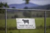 204 Horns Crossing Road, Vacy, NSW 2421-Image