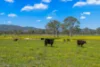 204 Horns Crossing Road, Vacy, NSW 2421-Image