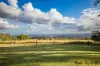 204 Pringles Hill Road, Tablelands, Qld 4605-Image