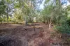 204 Pringles Hill Road, Tablelands, Qld 4605-Image