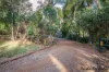 204 Pringles Hill Road, Tablelands, Qld 4605-Image