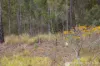 2047 Lake Moogerah Road, Moogerah, Qld 4309-Image