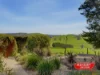 205 Armstrongs Road, Koonwarra, Vic 3954-Image