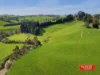 205 Armstrongs Road, Koonwarra, Vic 3954-Image