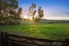 2051 Broadford- Flowerdale Road, Strath Creek, Vic 3658-Image