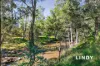 2058 Mirannie Road, Singleton, NSW 2330-Image