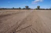 208 Forest Way, Wee Waa, NSW 2388-Image