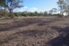 208 Forest Way, Wee Waa, NSW 2388-Image
