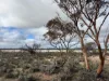 21 Goldfields Road (Baandee), Kellerberrin, WA 6410