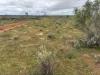 21 Goldfields Road (Baandee), Kellerberrin, WA 6410-Image