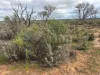 21 Goldfields Road (Baandee), Kellerberrin, WA 6410-Image