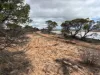 21 Goldfields Road (Baandee), Kellerberrin, WA 6410-Image