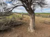 21 Goldfields Road (Baandee), Kellerberrin, WA 6410-Image
