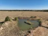 21 Trafford Road, Wallumbilla, Qld 4428-Image
