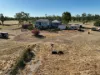 21 Trafford Road, Wallumbilla, Qld 4428-Image