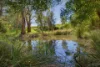 21 Webbs Lane, Mirboo, Vic 3871-Image