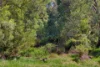21 Webbs Lane, Mirboo, Vic 3871-Image