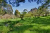 21 Webbs Lane, Mirboo, Vic 3871-Image