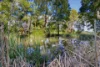 21 Webbs Lane, Mirboo, Vic 3871-Image