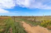 21 Willis Lane, Nyah West, Vic 3595-Image