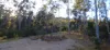 210 Laytons Range Road, Nymboida, NSW 2460-Image