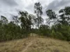 210 Laytons Range Road, Nymboida, NSW 2460-Image