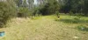210 Laytons Range Road, Nymboida, NSW 2460-Image