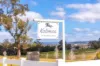 211 Marchfield Road, Wingham, NSW 2429-Image